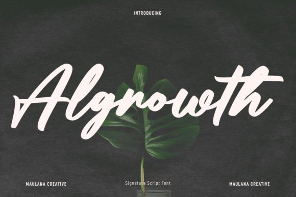 Algrowth: A Bold, Casual Script Font for Real Small Businesses