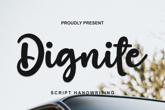 Dignite: A Script Amp That Earns Its Space