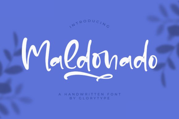 Maldonado: The Script Font That Makes Your Brand Feel Thoughtfully Handcrafted