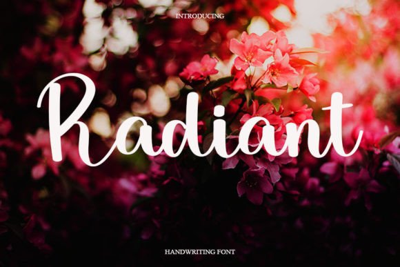Radiant Handwritten Font for Small Business Branding
