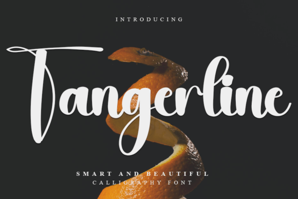 Tangerline: A Handwritten Font That Makes Your Campaign Feel Human